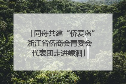 同舟共建“侨爱岛” 浙江省侨商会青委会代表团走进嵊泗